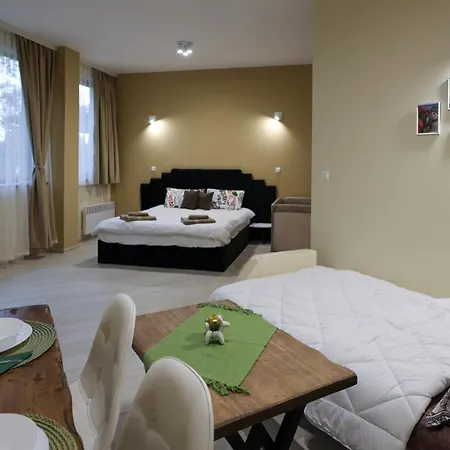 студио Young Gogh Pamporovo