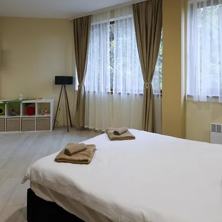 студио Young Gogh