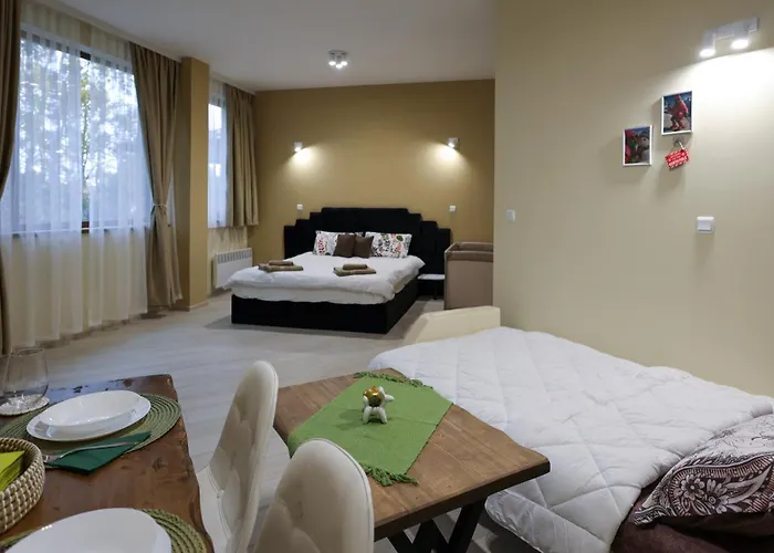 студио Young Gogh Pamporovo